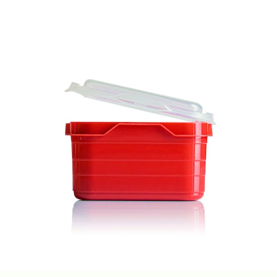 Red 100 ml Food Container BPA Free
